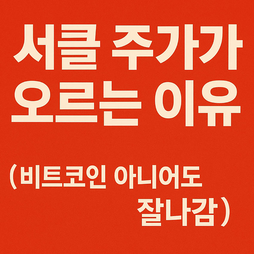 빨간 배경에 ‘서클 주가가 오르는 이유’라는 큰 글자와 그 아래 ‘(비트코인 아니어도 잘나감)’이라는 문구가 강조된 썸네일 이미지
